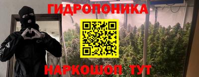 ПСИЛОЦИБИНОВЫЕ ГРИБЫ Заволжье