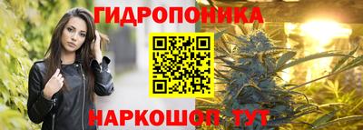 ПСИЛОЦИБИНОВЫЕ ГРИБЫ Заволжье